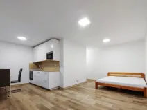 Pronájem bytu 1+1, Most, Brněnská, 38 m2