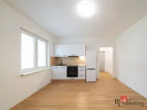 Prodej bytu 2+kk, Ostrava - Mariánské Hory, Cottonové, 37 m2