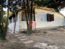 Prodej chalupy, Svojetice, Slepá, 90 m2