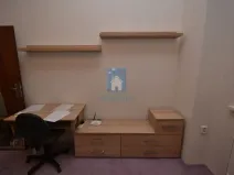 Pronájem bytu 1+kk, Plzeň, Čelakovského, 20 m2
