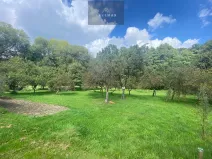 Prodej zahrady, Bílovec, 1012 m2