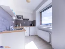 Prodej bytu 1+kk, Staré Město - Stříbrnice, 30 m2