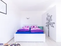 Prodej bytu 1+kk, Staré Město - Stříbrnice, 30 m2