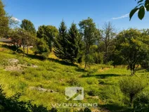 Prodej zahrady, Malá Skála, 1009 m2