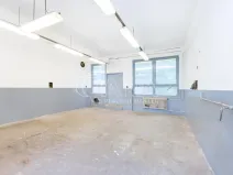 Pronájem výrobních prostor, Písek - Budějovické Předměstí, U Vodárny, 110 m2