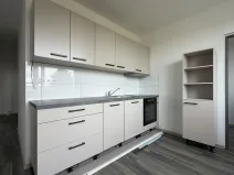Prodej bytu 2+1, Roudnice nad Labem, Vrchlického, 56 m2