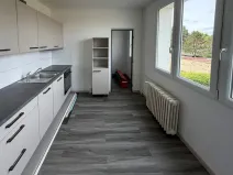 Prodej bytu 2+1, Roudnice nad Labem, Vrchlického, 56 m2