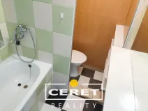 Pronájem bytu 1+1, Žatec, Šafaříkova, 35 m2