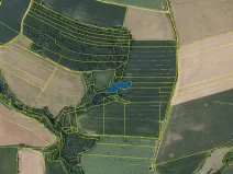 Prodej lesa, Černíkovice, 2471 m2