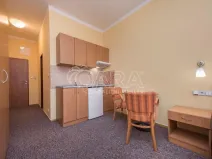 Pronájem bytu 1+kk, Praha - Miškovice, Bendlova, 25 m2