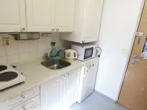 Pronájem bytu 1+kk, Praha, Formanská, 18 m2