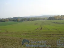 Prodej pozemku pro bydlení, Netolice, Školní, 1000 m2