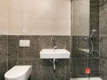 Pronájem bytu 1+kk, Brno - Zábrdovice, Bratislavská, 24 m2