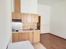 Pronájem bytu 1+kk, České Budějovice - České Budějovice 3, Riegrova, 30 m2