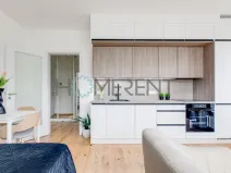 Pronájem bytu 1+kk, Praha - Nusle, Závišova, 30 m2