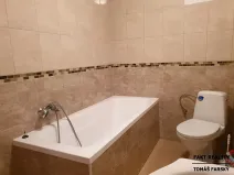 Pronájem bytu 1+kk, Ústí nad Labem, Londýnská, 52 m2