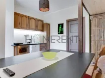 Pronájem bytu 1+kk, Praha - Nusle, Sekaninova, 35 m2