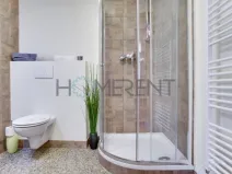 Pronájem bytu 1+kk, Praha - Nusle, Sekaninova, 35 m2