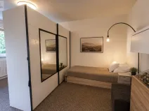 Prodej bytu 1+1, Ostrava - Hrabůvka, Horní, 38 m2