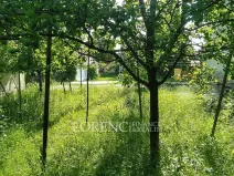 Prodej pozemku, Brumovice, 500 m2