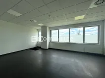Pronájem kanceláře, Brno, Letiště Brno-Tuřany, 300 m2