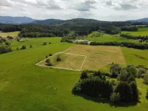 Prodej pozemku pro bydlení, Česká Kubice - Starý Spálenec, 2459 m2