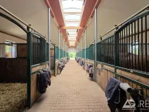 Prodej zemědělského objektu, Úžice, 5128 m2
