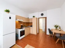 Pronájem bytu 2+kk, Brno, Rybářská, 49 m2