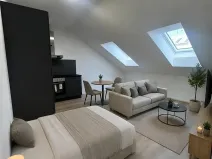 Pronájem bytu 1+kk, České Budějovice, Rudolfovská tř., 30 m2
