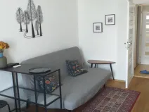 Pronájem bytu 1+1, Praha - Žižkov, Seifertova, 35 m2