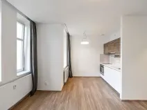 Pronájem bytu 1+kk, Praha - Vinohrady, Lucemburská, 30 m2