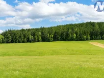 Prodej lesa, Chlumany, 17989 m2