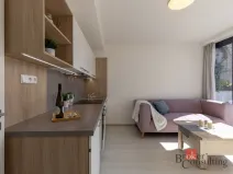 Pronájem bytu 1+kk, Brno - Jundrov, Veslařská, 27 m2