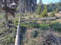 Prodej lesa, Zlín, Modřínová, 152613 m2