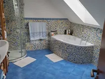 Pronájem rodinného domu, Benátky nad Jizerou, Pražská, 200 m2