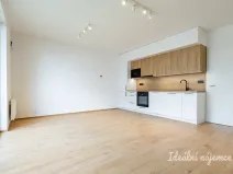 Pronájem bytu 1+kk, Praha - Chodov, Nebřenická, 37 m2
