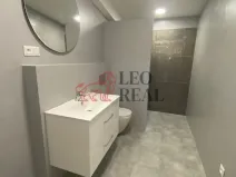 Pronájem bytu 1+kk, Rostěnice-Zvonovice - Zvonovice, 50 m2