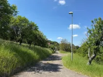 Prodej pozemku pro bydlení, Brno, Masarykova, 1834 m2