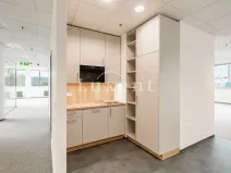 Pronájem kanceláře, Praha - Holešovice, Jankovcova, 291 m2
