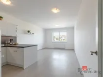Pronájem bytu 1+kk, Brno - Ponava, Střední, 39 m2