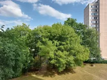 Pronájem bytu 1+kk, Hradec Králové - Pražské Předměstí, Baarova, 33 m2