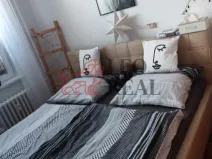 Pronájem bytu 2+1, Vyškov - Vyškov-Předměstí, Dukelská, 54 m2