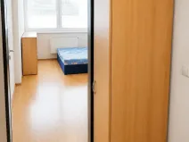 Prodej bytu 1+kk, Brno, Cejl, 23 m2