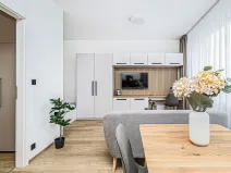 Pronájem bytu 1+kk, Praha - Karlín, Pobřežní, 31 m2