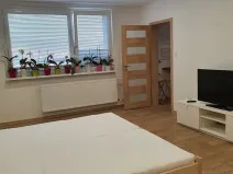 Pronájem bytu 1+1, Liberec, Borový vrch, 39 m2