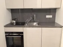 Pronájem bytu 2+kk, Praha - Vinohrady, Mánesova, 63 m2