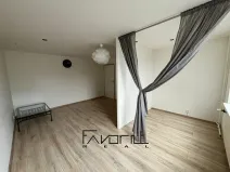 Pronájem bytu 1+1, Ostrava, Šeříková, 42 m2