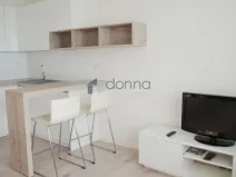 Pronájem bytu 1+kk, Praha, Strančická, 29 m2