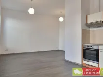 Pronájem bytu 1+kk, Praha - Karlín, Sokolovská, 37 m2