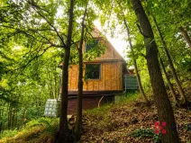 Prodej chaty, Hromnice - Planá, 58 m2